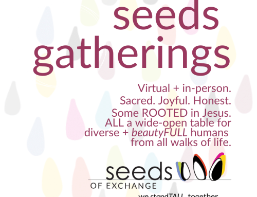 You’re Invited: SoulFULL Gatherings with Seeds (& our “Rooted” Branch)
