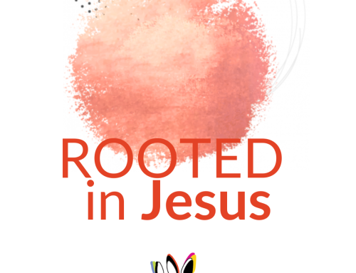 Rooted (in Jesus) | A Living Branch of Seeds of Exchange