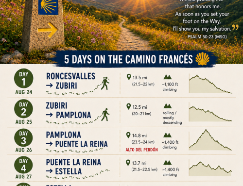 Camino Meets Emmaus Road: Walking the Way Together